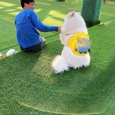 대형견 강아지 배낭 백팩 산책 가방 애견 패션, 1개, 옐로우