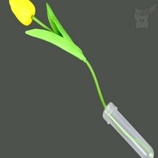 무지스토어 꽃 워터튜브 꽃튜브, V90