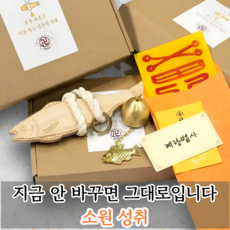 혜랑법사 액막이 명태 부적 세트 현관 풍수 인테리어 개업 집들이 선물, 혼합색상