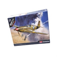 끈이스토어 1대48 미군 항공기 인테리어소품 재미있는놀이