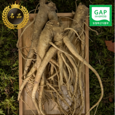 [약도라지] 흙약도라지 흙도라지, 1박스, 실속 1kg