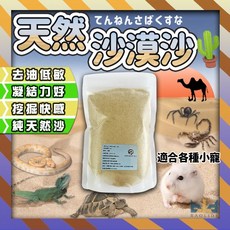 【現貨-天然沙漠】倉鼠砂 廁所砂 沐浴沙 鼠砂 尿沙 黃金鼠 核桃鼠 魚缸底砂 爬蟲墊料, 1個, 50g/分裝小包, 50g