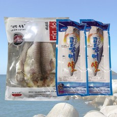 제주직송 반건조 제라진 옥돔 1팩+노르웨이 고등어살 2팩, 1개