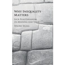 Why Inequality Matters, Cambridge University Press