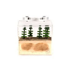 螞蟻帝國深林枯木地底屋一體式立體單面石膏巢小型螞蟻巢穴, 1個