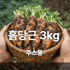 제주 구좌 흙당근 3kg 산지직송 주스용 요리용 국내산 당근, 1개, 중3kg