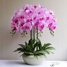 조화 화분 서양란 인조 퍼플 축하 가드닝 생화같은 장식품, 베이지 화분 로즈핑크 8개 세트