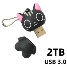 고속 전송 USB3.0 + Type-C 2TB 외장하드 대용량 초고속 휴대용 저장장치, 1개