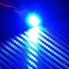 콩콩 2발 LED 꼬마전구 12V24V 풋등, 12V/블루LED