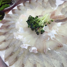 방금 조업한 활 농어 제철 손질 프리미엄 농어필렛, 농어 회 필렛 300g, 1박스, 국내산 활 농어필렛 300g