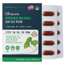 유럽인증 징코 빌로바 ginkgo 은행잎 추출물 고함량 식약처 인증, 3박스, 60회분