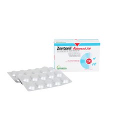 [사은품증정] 베토퀴놀 젠토닐 어드밴스 200mg X 30정 강아지 고양이 간 보조제, 피부/피모, 1개