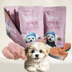 마루 반려견 영양죽 강아지보양식 노견 보양간식 습식사료, 2개, 120g, 연어