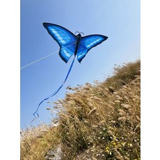 나비 연 고급형 긴꼬리 연날리기 세트 야외용 단선 방지 얼레 포함 모조 블루 나비 + 150m 휴대용 와이어, 1개