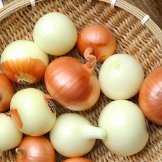 [우팜사] 유기농 햇 양파 친환경 기능성 양파 헬씨큐 항암 양파, 1박스, 양파 1kg
