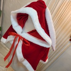 여성 크리스마스 빅 후드 빨간 망토부자2026
