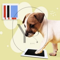 영스토어 강아지 발도장 스탬프 도장찍기, 빨