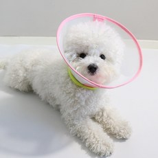 드림계곡 반려동물 초경량 나일론 메쉬 넥카라, 핑크색, 1개