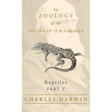 (영문도서)Reptiles - Part V - The Zoology of the Voyage of H.M.S Beagle Hardcover, Read & Co. Science, English, 9781528771887