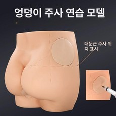 실습 교육 모형 엉덩이 간호사 의료교육용 학원 근육 의학교습용 제품 인체, 4.엉덩이 주사 모델