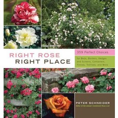 Right Rose Right Place, Storey Pub
