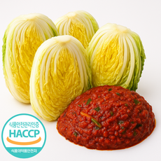 두메 절임배추 양념세트 김장밀키트 강원도 영월 고랭지 절임배추 HACCP인증, 5kg (절임배추 3.5kg + 양념 1.5kg), 1개, 5kg