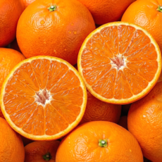 [산지직송] 당도선별 프리미엄 천혜향 제주천혜향, 1개, 5kg (정품)