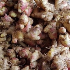 국산 생강 알뜰 국내산 흙생강 산지직송, 1박스, 3kg