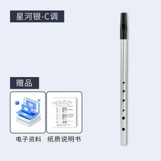 爱尔兰 哨笛 铝合金 竖笛笛子 儿童初学, 1個, 银色哨笛,C调, C调