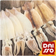 가성비 실속 반건조오징어 (10마리), 1개, 1.5kg