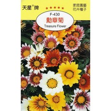 天星牌 勳章菊種子 F-430 野菜部屋 Treasure Flower 穗耕種苗, 1包