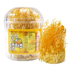 동광한방몰 눈꽃동충하초, 1개, 40g