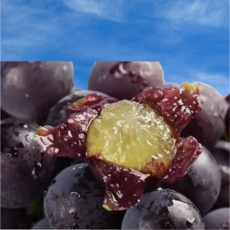 [2주특가할인!] 새콤달콤 프리미엄 산지직송 아로니아, 1개, 1kg