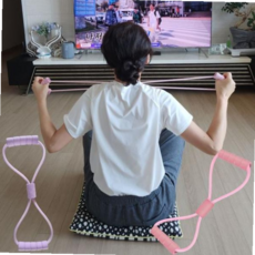 스트레칭 운동 근력 근력밴드 잇백잇슈 여자 여성 홈트레이닝 59000EA 1EA, ONE, 보라