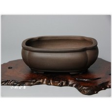 小樹安每 日本盆缽 桐蔭軒 紫泥袋式木瓜鉢 15cm 日式餐具 沙拉碗 水果碗, 1個