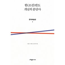 SapyoungAcademy 韓(朝鮮)半島概念的分裂史： 文學藝術篇. 1, 具甲祐,李荷娜,洪知錫 共著