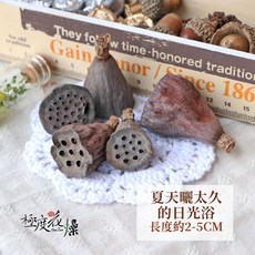 大地農園 蓮蓬 果實, 【蓮蓬】夏天曬太久的日光浴－原色咖黑,一顆