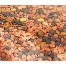 MIX DAL 혼합콩(렌틸콩 이집트콩 렌틸콩홀) 캐나다 호주 /1PACK, 900G, 1개