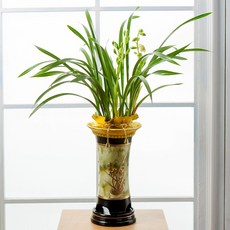 앤드플라워 전국 당일배송 동양란 12종 꽃배달 동양난 승진선물 개업선물, 1개