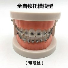 덴티폼 치열 치과 연습 모델 교정 틀니 데모 교육, F. 아치와이어가 장착된 풀 메탈 셀프락킹 모