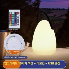 무선 충전식 아령 조명 감성 레스토랑 카페 랜턴 캠핑, 달걀형 L-레벨 16색, 기본 색상