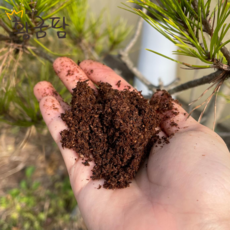 장수풍뎅이 사슴벌레 산란용 매트용 발효톱밥 3L, 1개, 1개