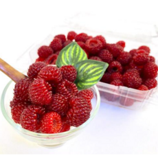 닉대디마트 산딸기 급냉 왕산딸기 제철 산지직송, 1박스, 500g