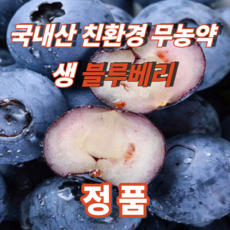 산지직송 국내산 친환경 무농약 블루베리 생과, 1개, 대과 200g
