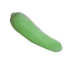 20립 울외품종씨앗 울외씨앗 오이참외 종자 울외오이참외 ko9+0949Eo, 본상품, 1개