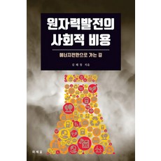 원자력발전의 사회적 비용, 미세움, 김해창