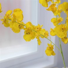 실크플라워 온시디움 조화가지 85cm 생화같은 조화꽃 댄싱오키드 장식, 옐로우(Yellow), 1개