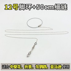 台灣發貨 統編 限時5折 鸚鵡腳鏈子小鳥腳環虎皮玄鳳牡丹腳圈牽引繩放飛繩子站架鳥鏈用品, 12號腳環+腳鍊（總長55cm）, 1個