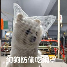 狗狗防誤食偷吃頭紗面罩舒適透氣中小型犬專用嘴套小狗防舔網紗套, 1個, 白色抽繩小狗平口袋:嘴套