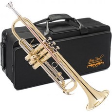 TR 430 중급 Bb 트럼펫 로즈 브라스 리드파이프로 옻칠한, Brass, Trumpet, 1개
